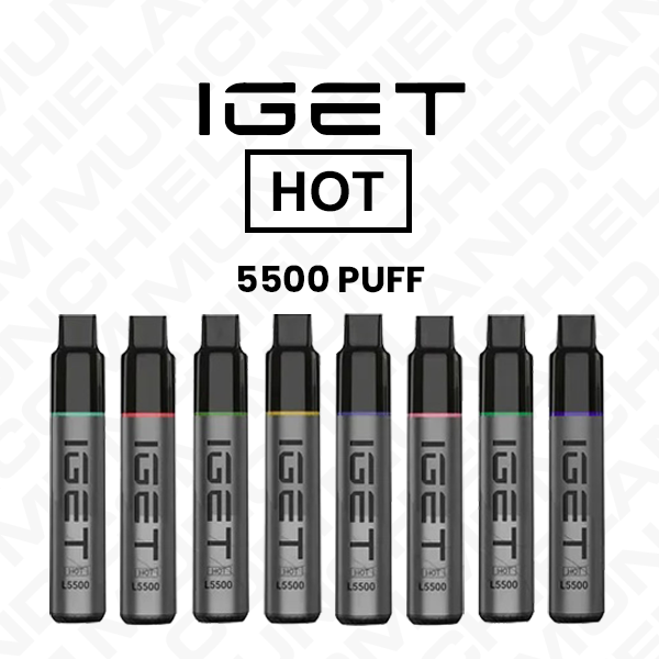IGET HOT Disposable Vape Wholesale (5500 Puffs)